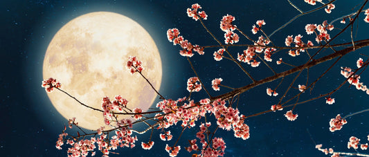 Maansverduistering in Schorpioen!