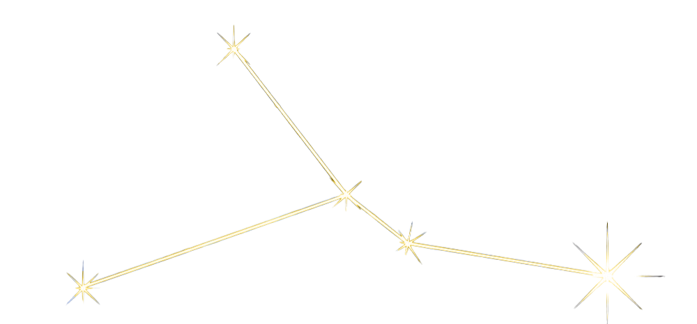 Kreeft