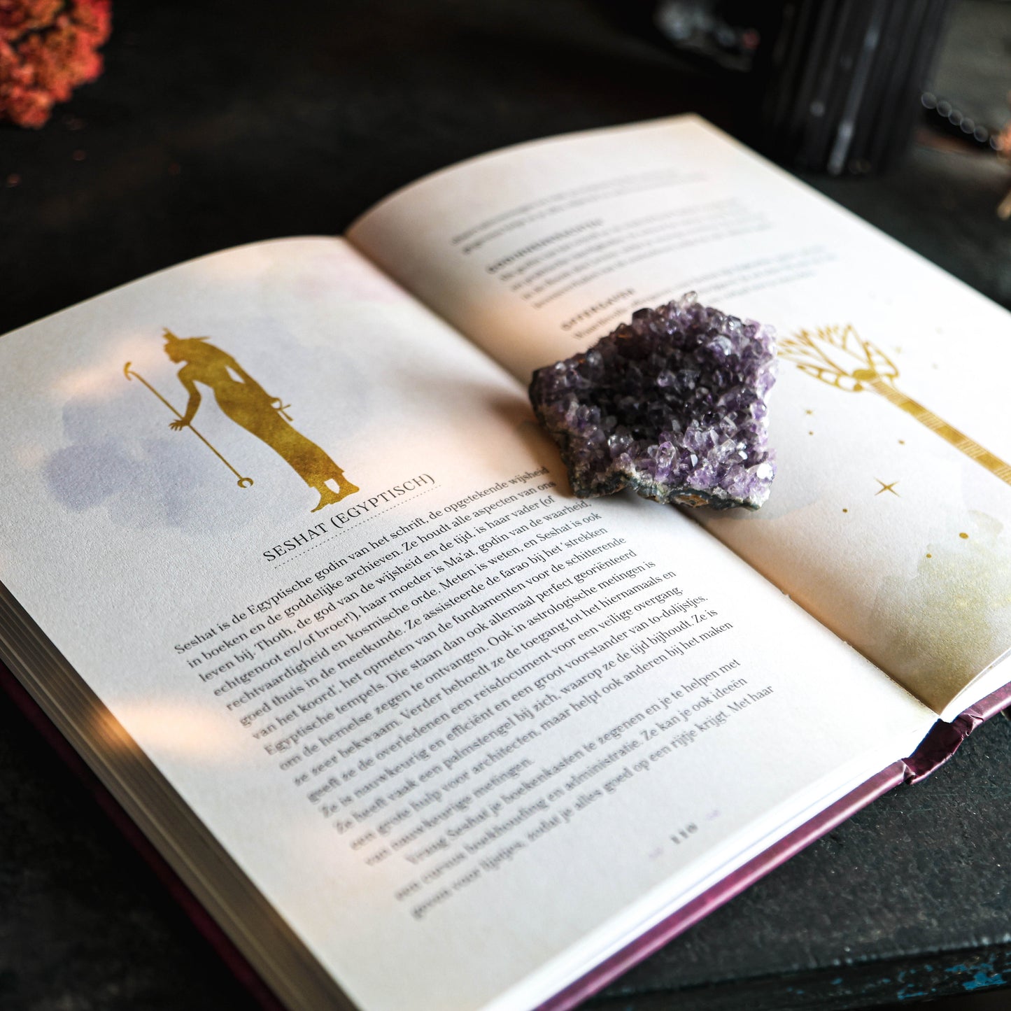 Godinnen: een geïllustreerd handboek - Een gebonden boek met 208 pagina's over meer dan 60 godinnen waaronder de Afrikaanse zeemeermin Yemaya en de Keltische godin Rosmerta. Het boek heeft een formaat van 140 x 210 mm en bevat prachtige illustraties die de vrouwelijke goddelijkheid tot leven brengen