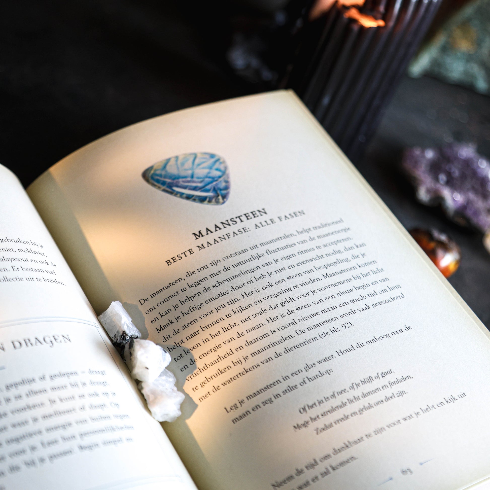 Deze gids is perfect voor zowel beginnende als ervaren beoefenaars van magie. Of je nu nieuw bent in de wereld van astrologie en maanmagie of een doorgewinterde heks bent die haar praktijk wil verfijnen, dit boek biedt waardevolle inzichten en praktische tips.