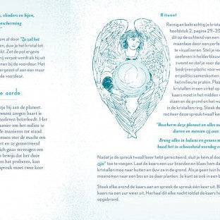 De Kristalheks boek door Shawn Robbins en Leanna Greenaway, gebonden, 316 pagina’s over kristalheling