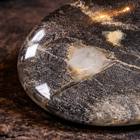 Zilverblad jaspis palmsteen met grijszwarte tinten en natuurlijke patronen op donkere achtergrond close up