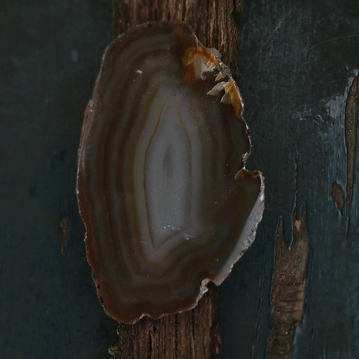 Agaat schijf naturel s.