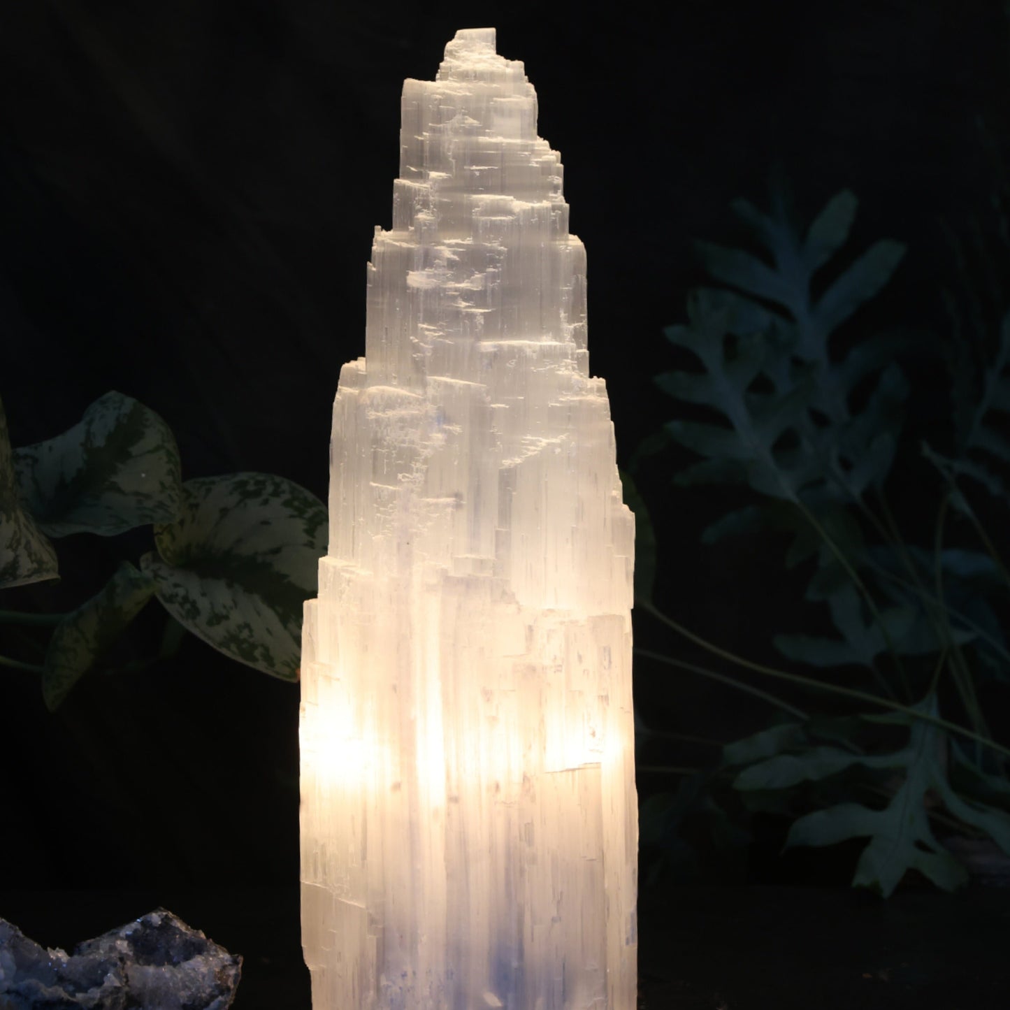 Seleniet lamp selenite