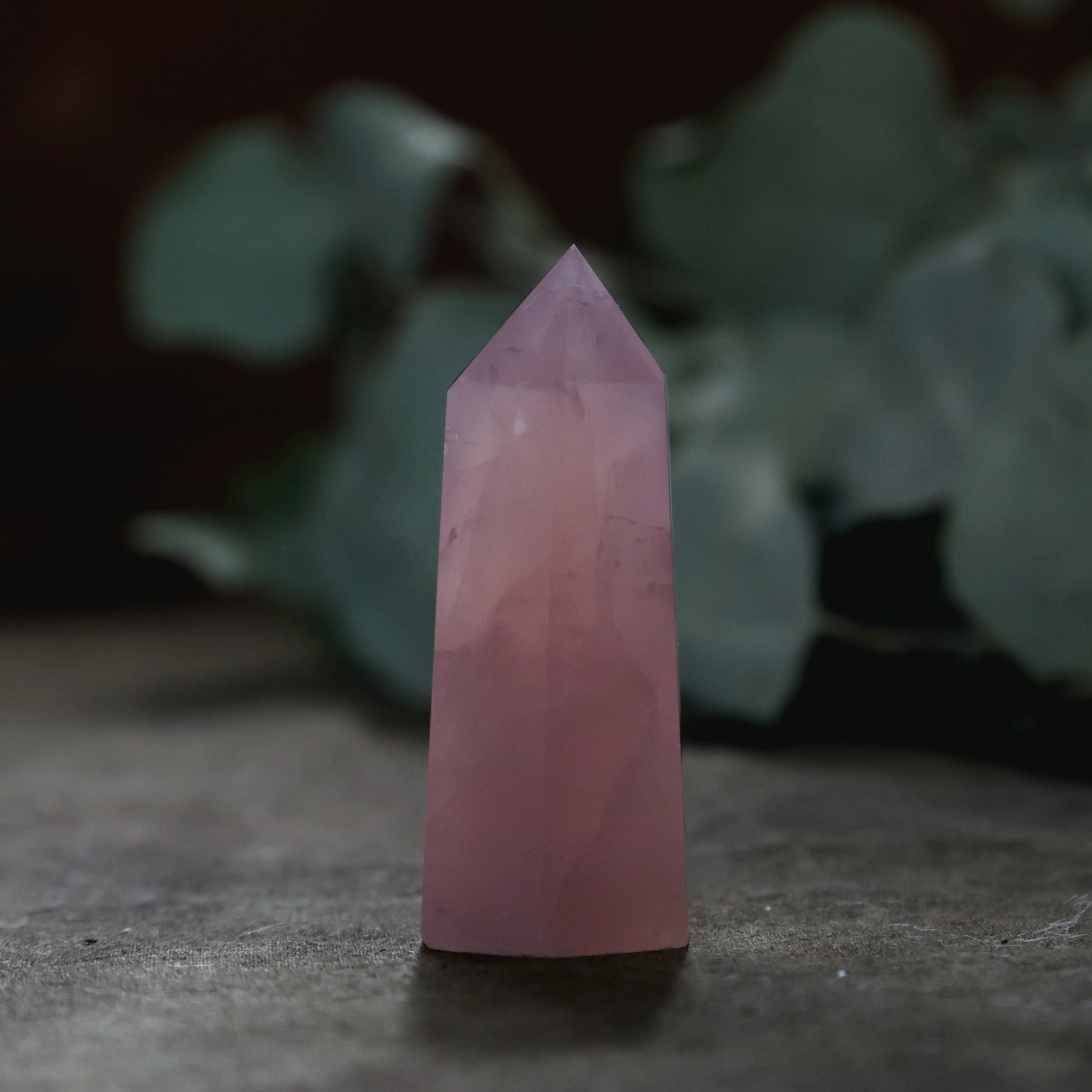 Rozenkwarts Obelisk - Wild Wicked & Free