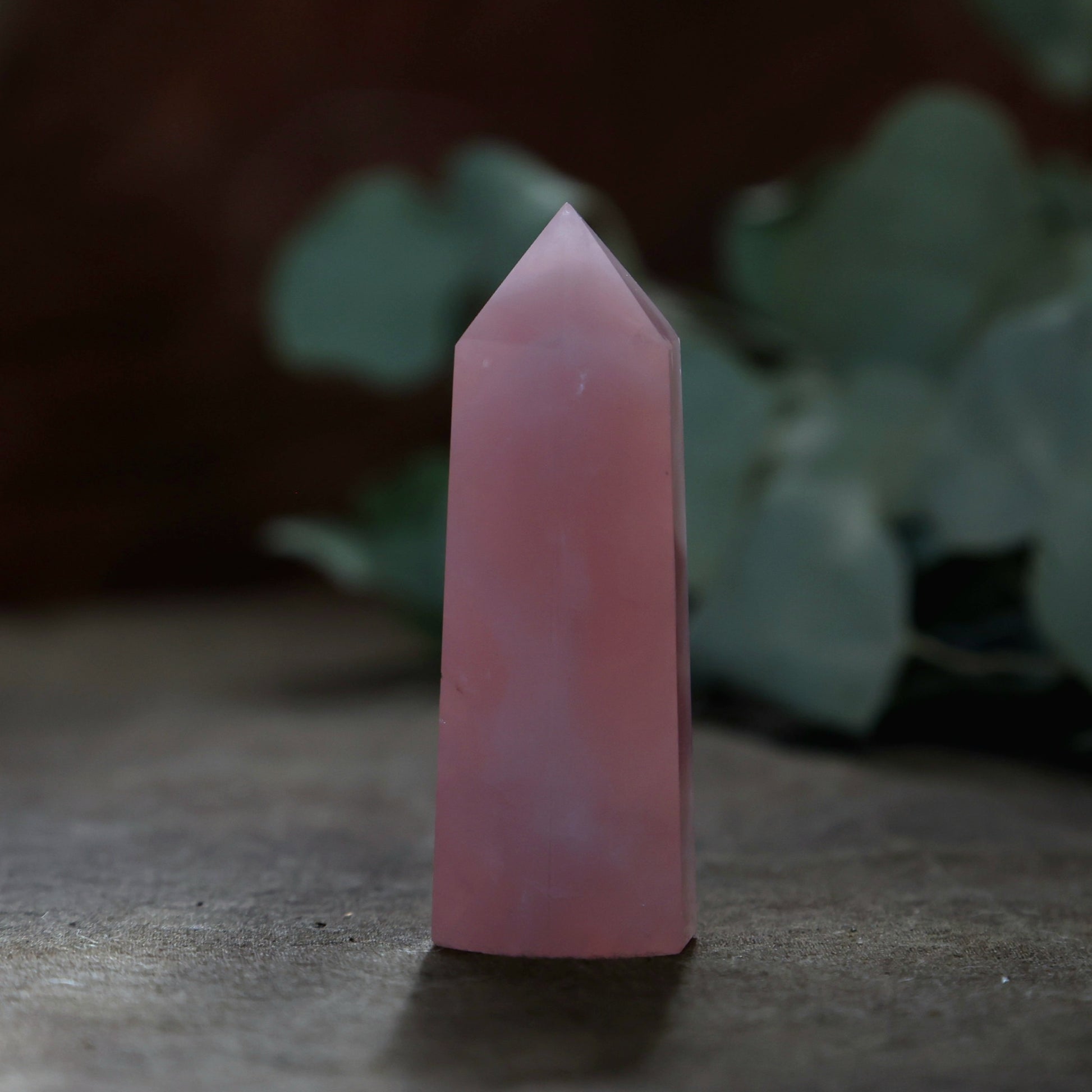 Rozenkwarts Obelisk - Wild Wicked & Free