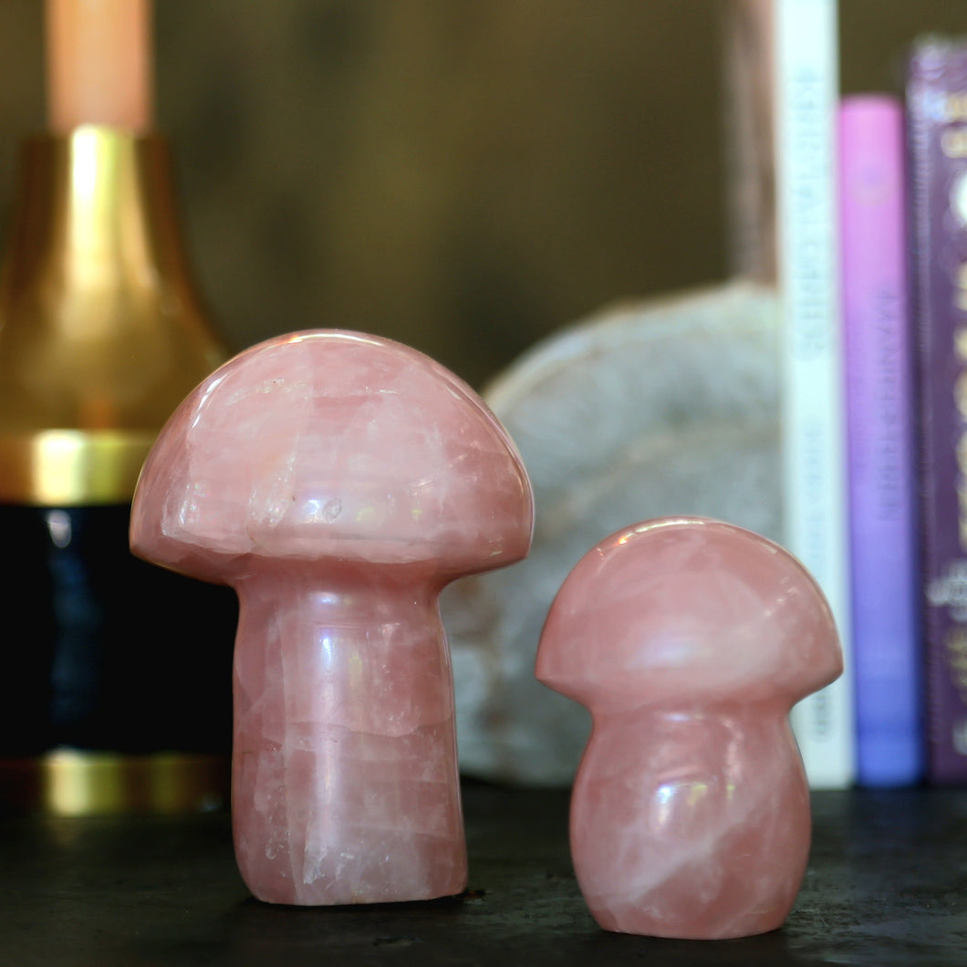 Champignon quartz rose taille L et XL