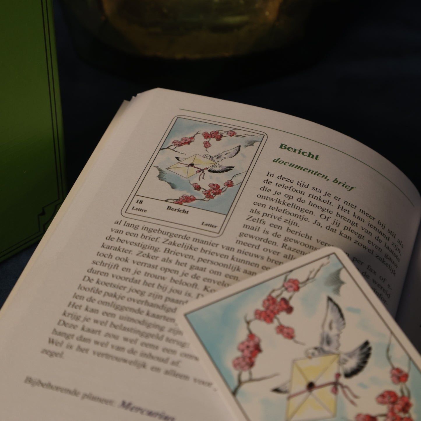 Zigeuner waarzegkaarten met Werkboek