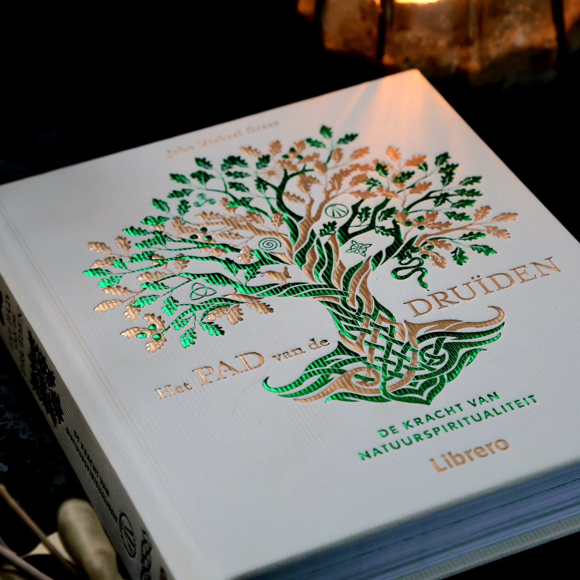  het pad van de druïden boek