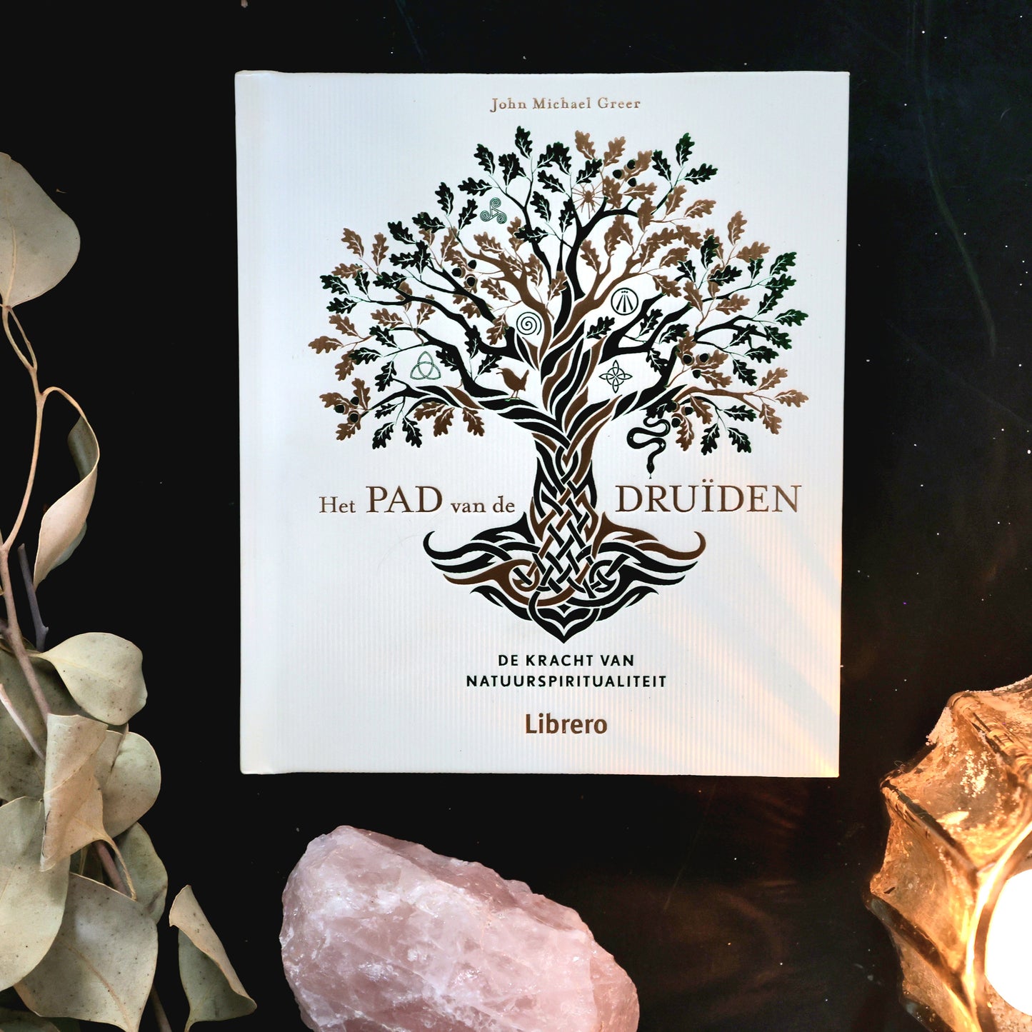 Le chemin des Druides