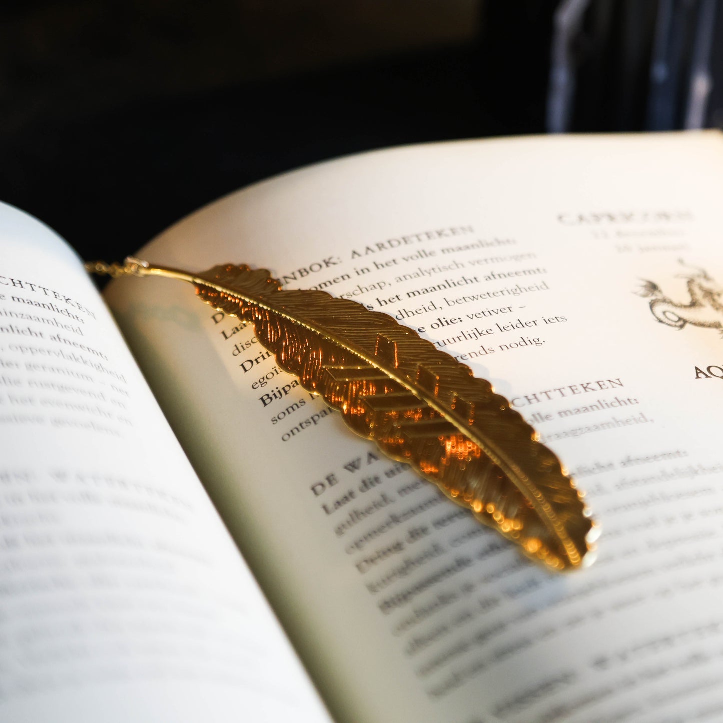 Detailfoto van gouden boekenlegger met veer de binnenkant van een boek