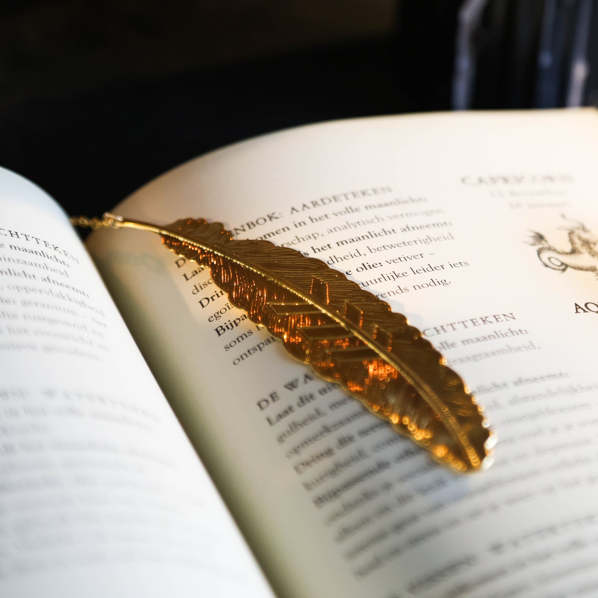 Detailfoto van gouden boekenlegger met veer de binnenkant van een boek