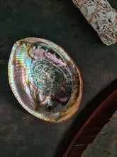 Charger l&#39;image dans la galerie, Abalone schelp smudge elementen
