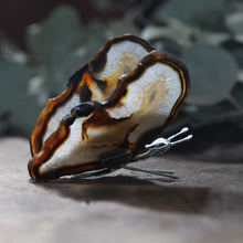 Afbeelding in Gallery-weergave laden, Agaat vlinder
